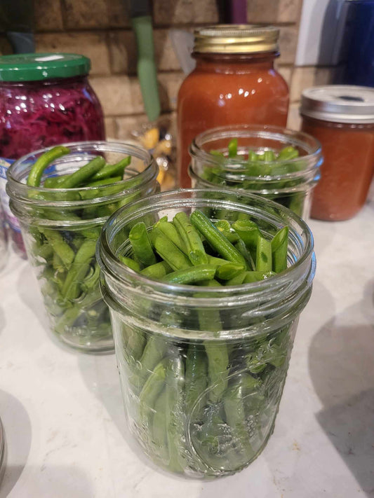 Pre-seasoned Canned Green Beans