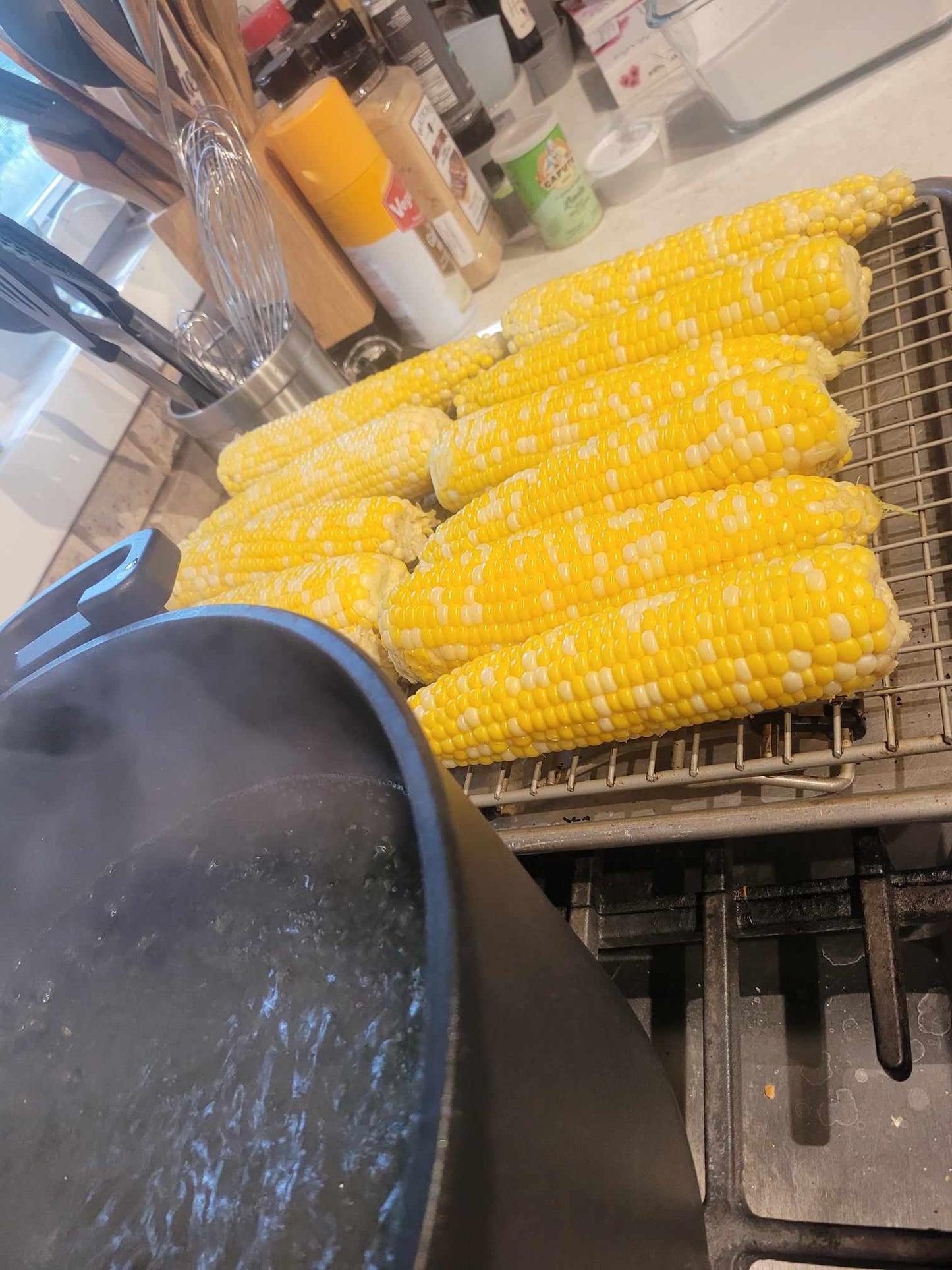 Canned Corn