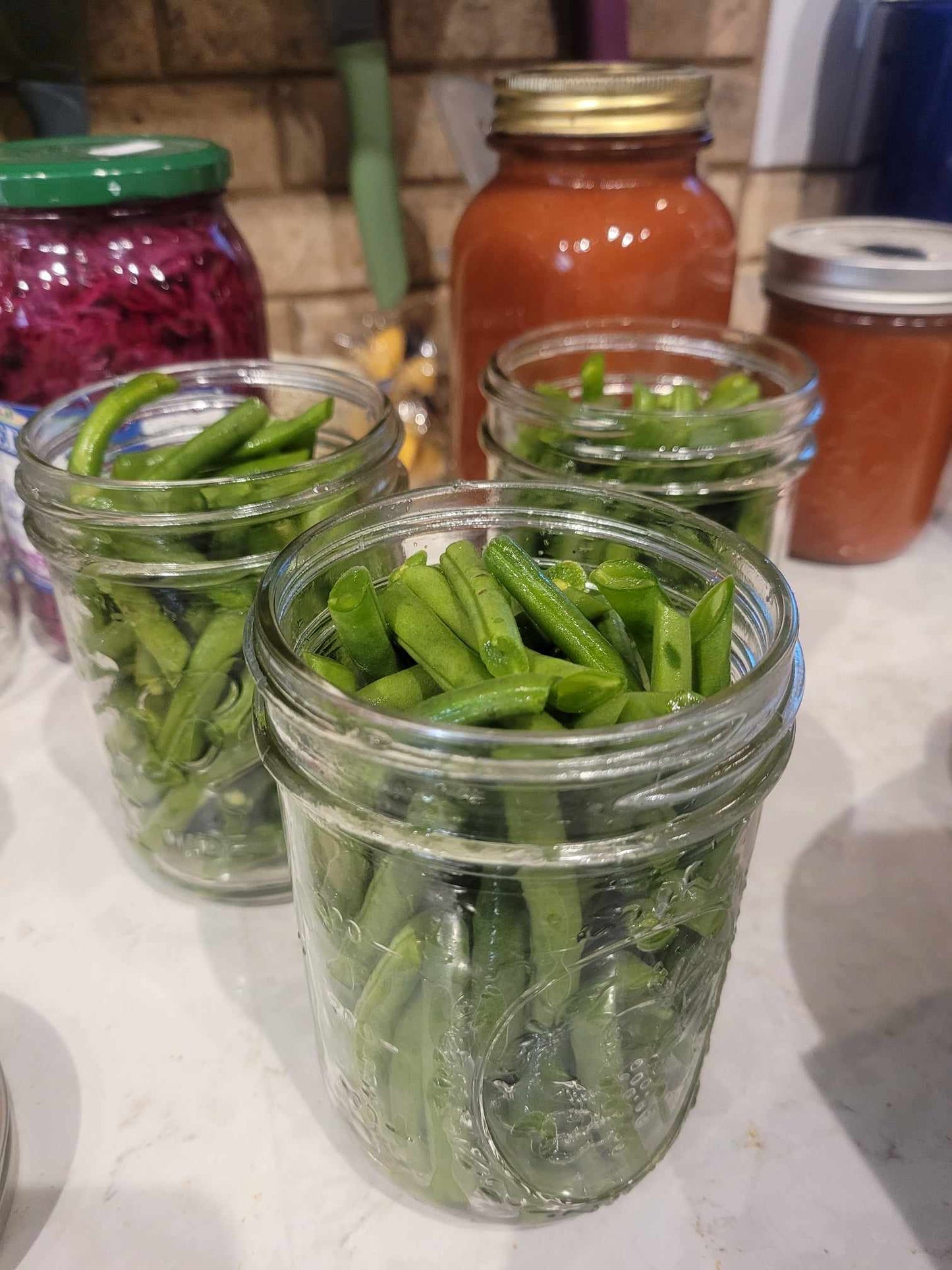 Pre-seasoned Canned Green Beans