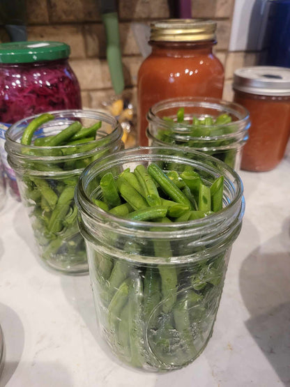 Pre-seasoned Canned Green Beans