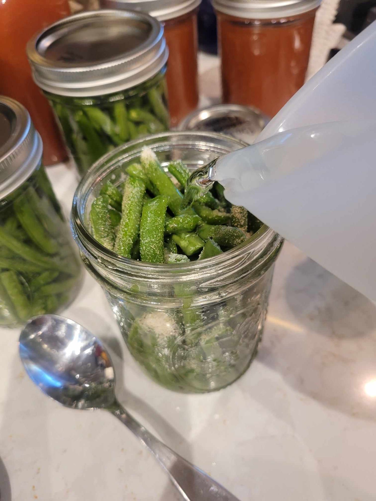 Pre-seasoned Canned Green Beans