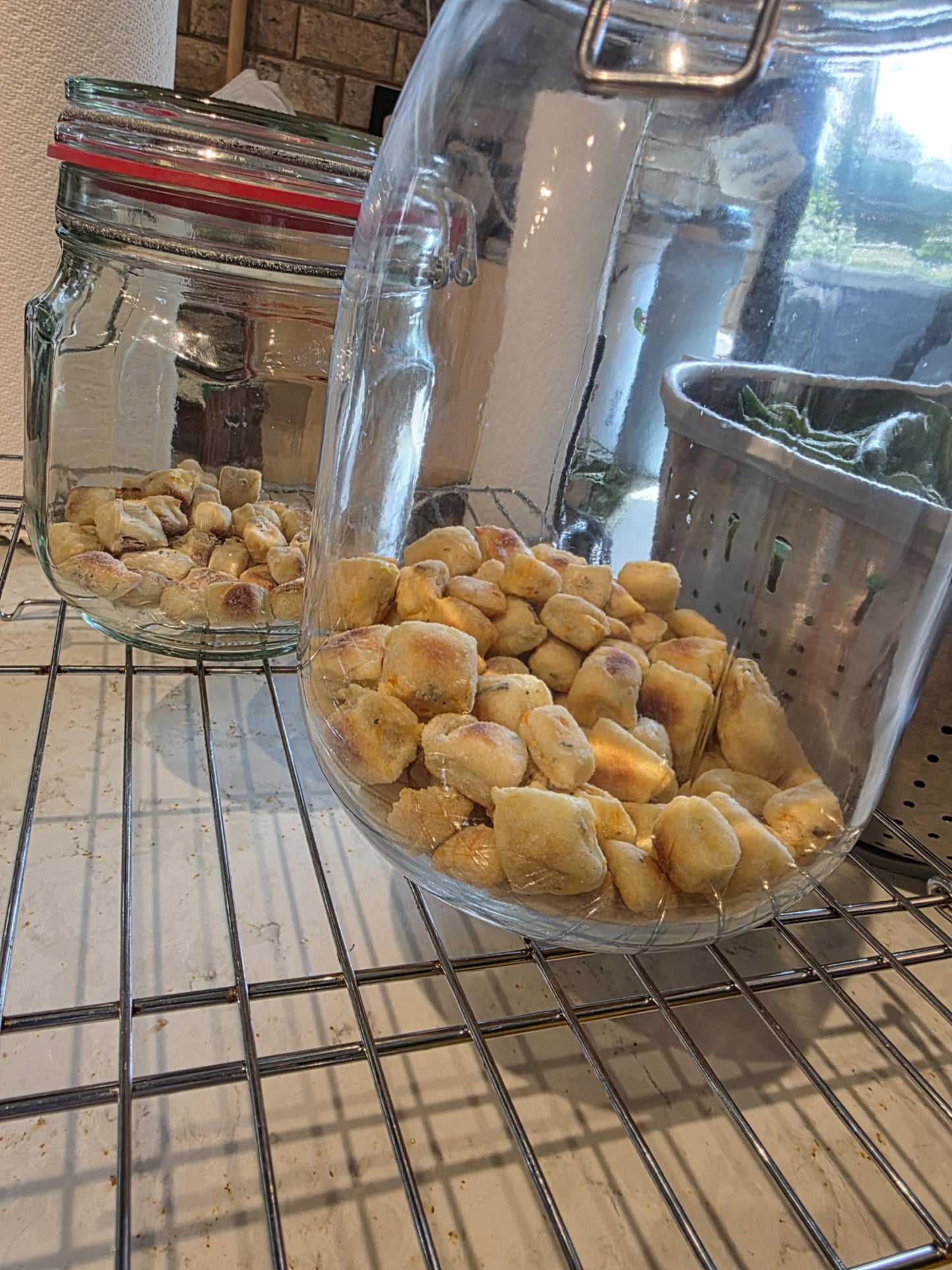 Dog Treats