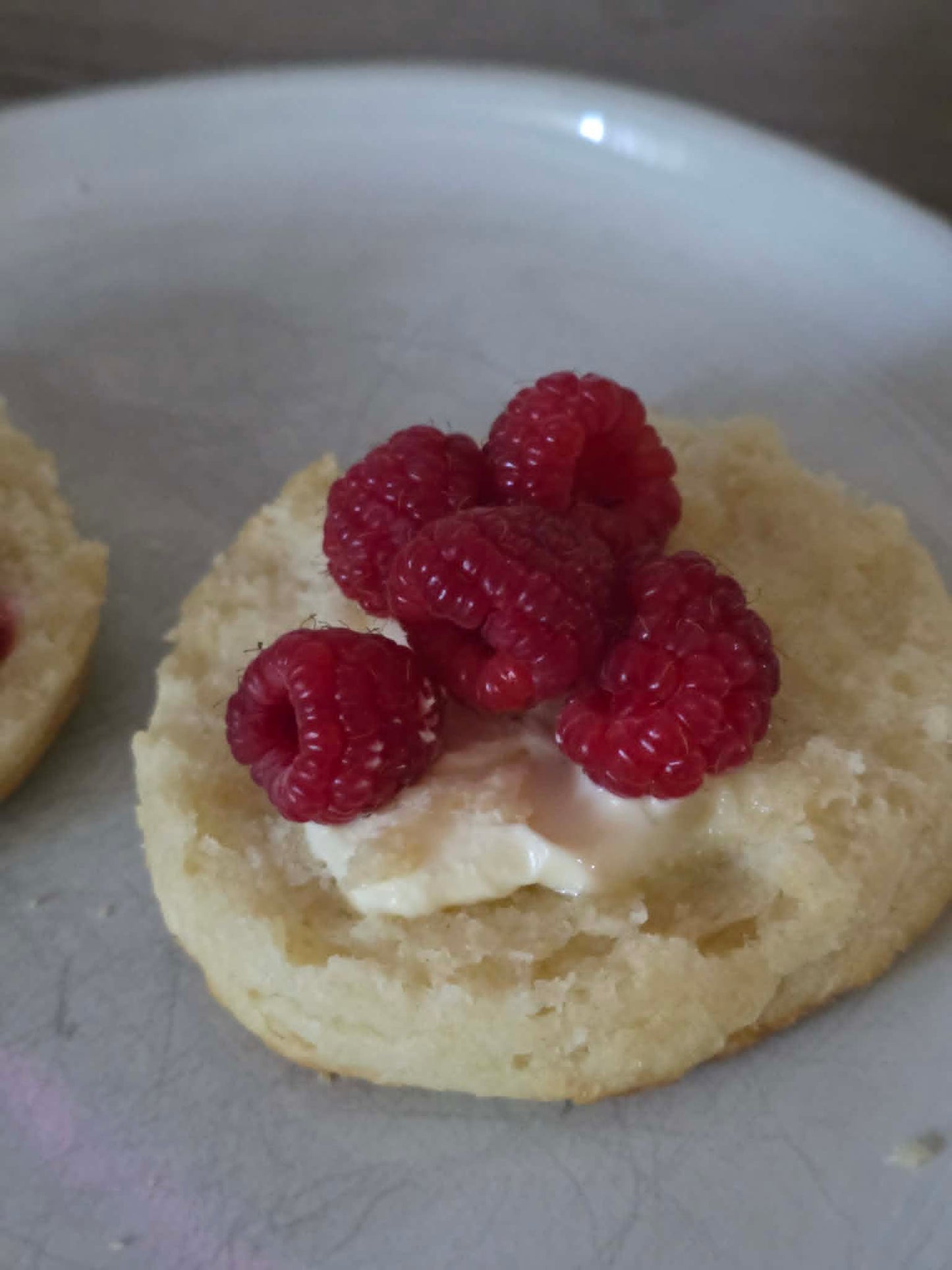 Buttermilk Biscuits