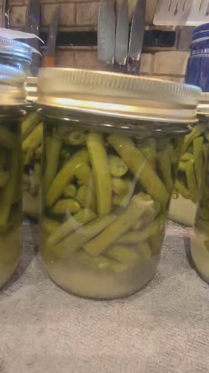 Pre-seasoned Canned Green Beans